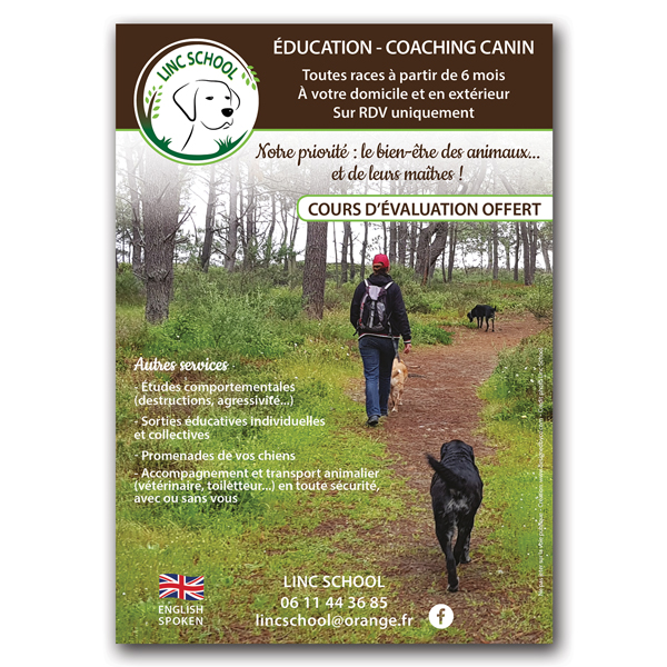 Flyer pour Linc School Coaching canin