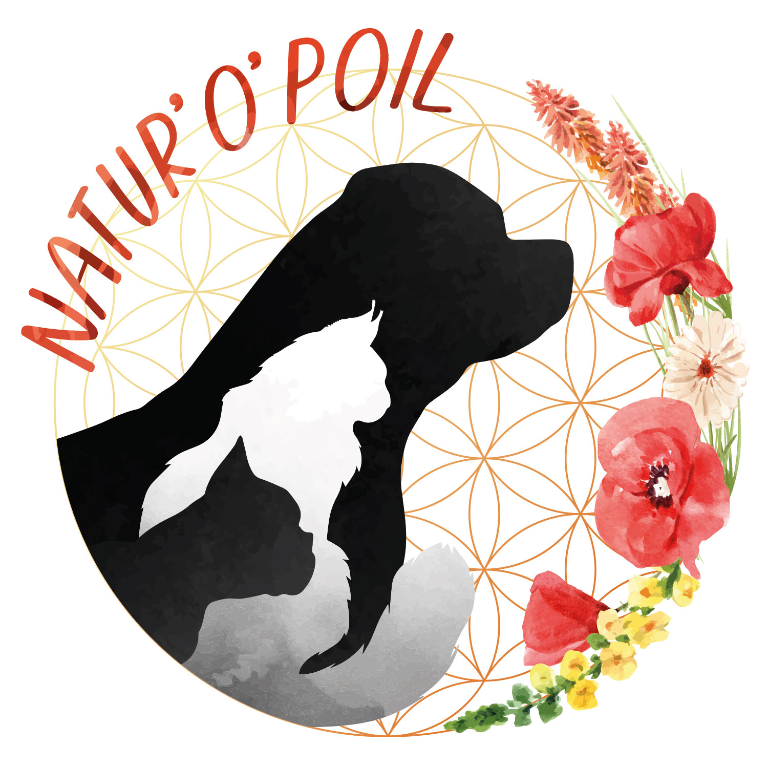 Logo personnalisé pour Natur'o'Poil
